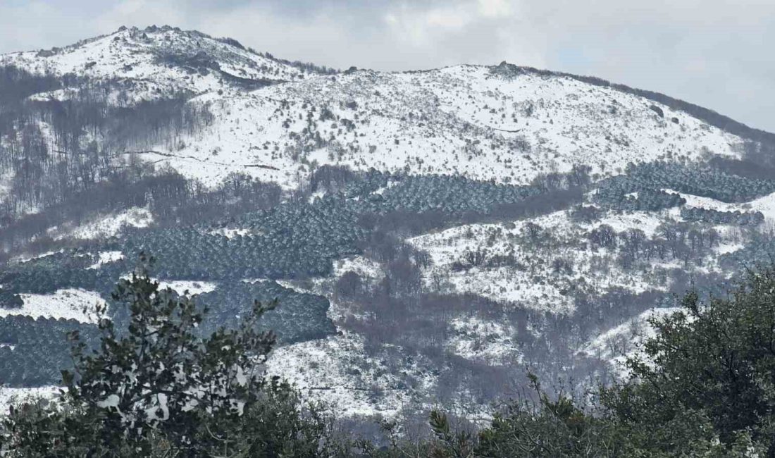 Balıkesir ve çevresinde günler öncesinden uyarısı yapılan soğuk hava dalgası,