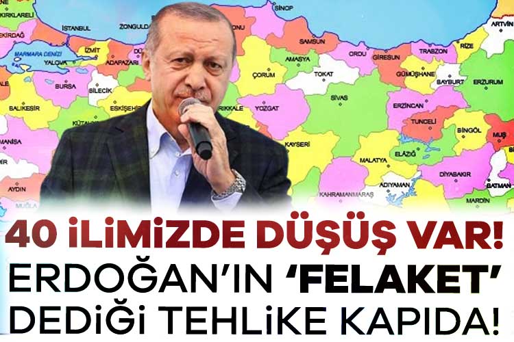 2024 yılına ait nüfus verileri dikkat çekici bir gerçeği ortaya