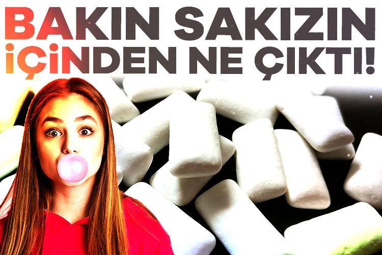 10 farklı markadan alınan sakızlar üzerinde yapılan yeni bir araştırmada